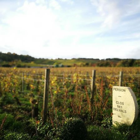 Le Clos Des Belvals Blancs-Coteaux Bagian luar foto