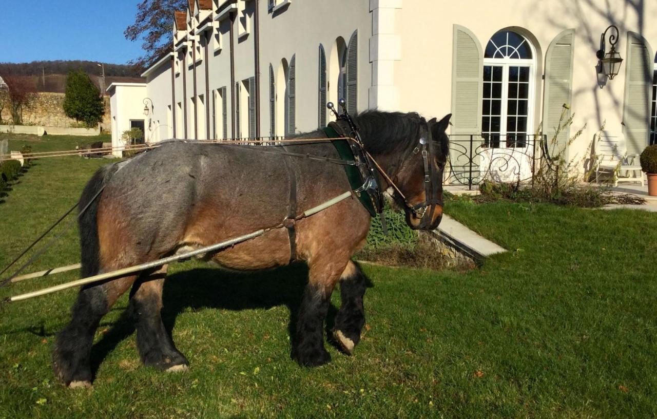 Le Clos Des Belvals Blancs-Coteaux Bagian luar foto