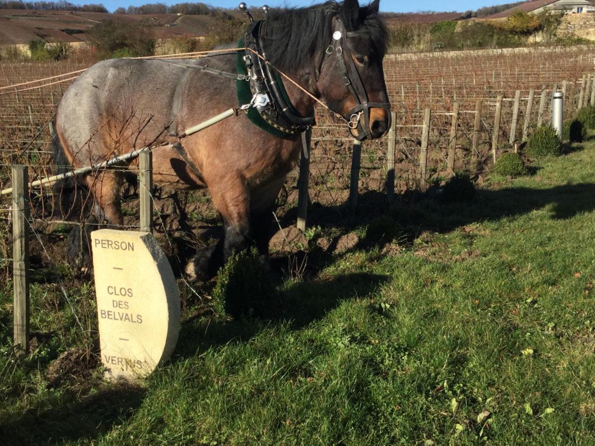Le Clos Des Belvals Blancs-Coteaux Bagian luar foto